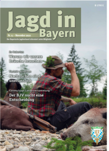 Jagd in Bayern 2020 November